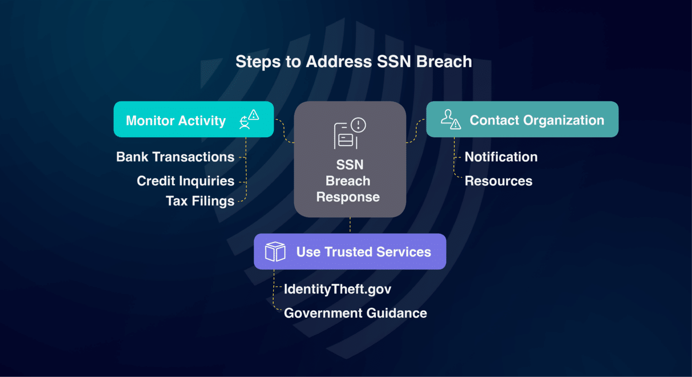 Steps to Secure Your SSN After the Breach